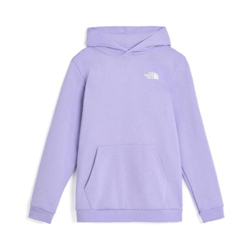 Kids The North Face Kids Evolution Box NSE Pullover Hoodie (Little Kid/Big Kid)