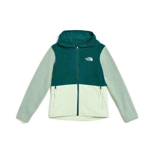 Kids The North Face Kids Glacier Full Zip Hoodie (Toddler)