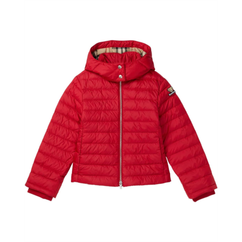 Womens Burberry Kids Cecilia Puffer Jacket (big Kids)