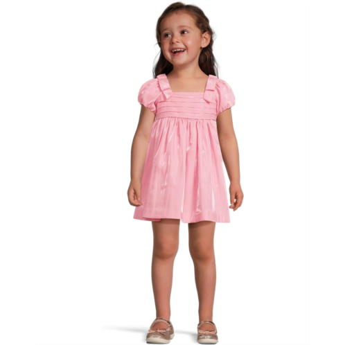 Janie and Jack Shimmer Dress (Infant)