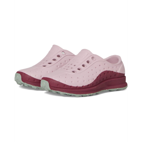 Native Shoes Kids Robbie Roam (Toddler)