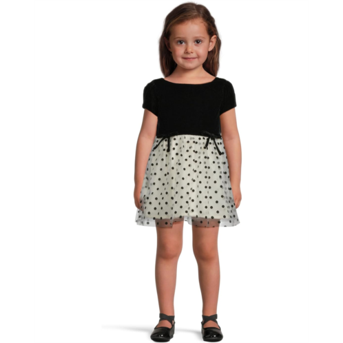 Janie and Jack Velvet Dot Dress (Infant)
