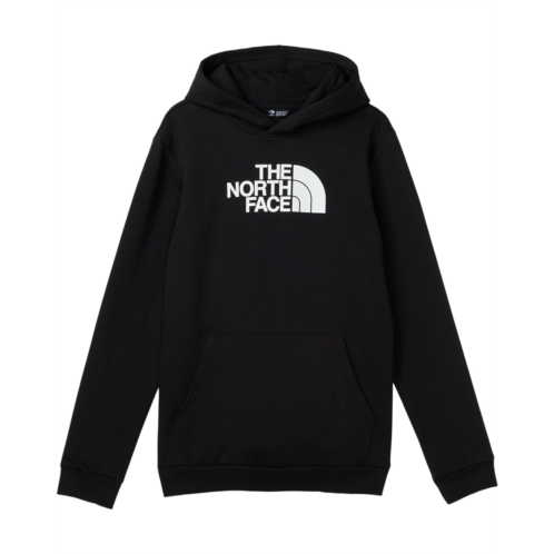 Kids The North Face Kids Evolution 1/2 Dome Pullover Hoodie (Little Kid/Big Kid)