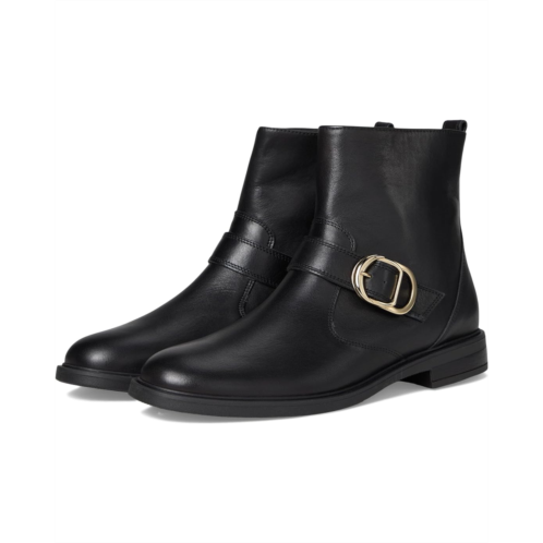 Paul Green Dakota BT