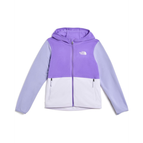 Kids The North Face Kids Glacier Full Zip Hoodie (Toddler)
