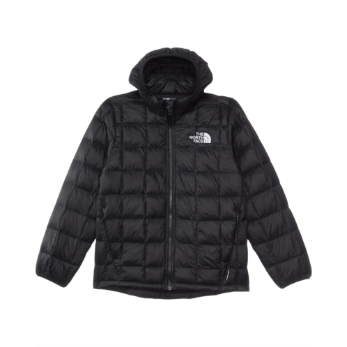 The North Face Kids THERMOBALL Hooded Jacket (Little Kid/Big Kid)
