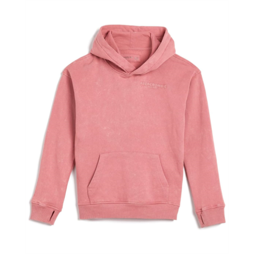 Boys abercrombie kids Sunfaded Pullover Hoodie (Big Kids)