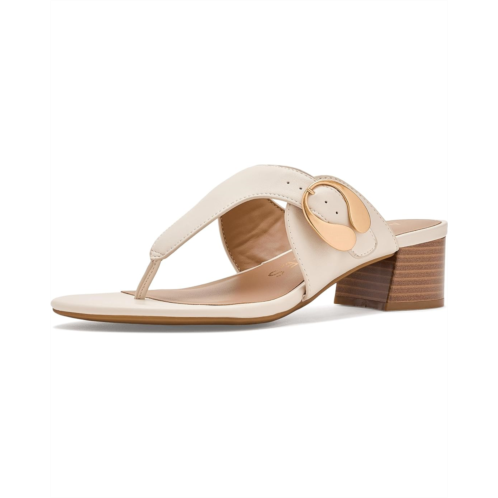 Aerosoles Cloude