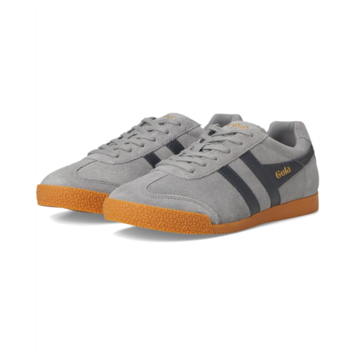Gola Harrier