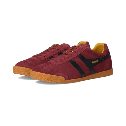 Gola Harrier