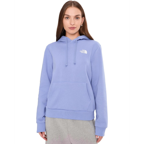 The North Face Evolution Box NSE Regular Hoodie