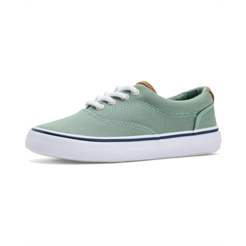 Boys Sperry Kids Cvo Striper II (Little Kid/Big Kid)
