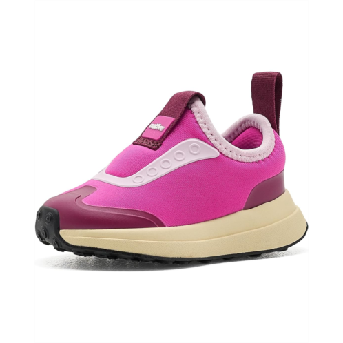 Kids Native Shoes Kids Robbie Dash (Toddler)