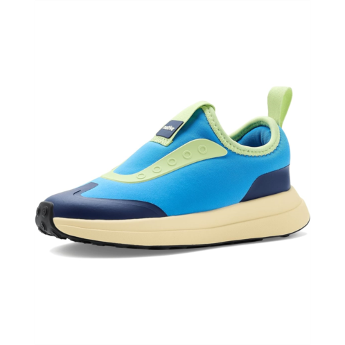 Kids Native Shoes Kids Robbie Dash (Little Kid/Big Kid)