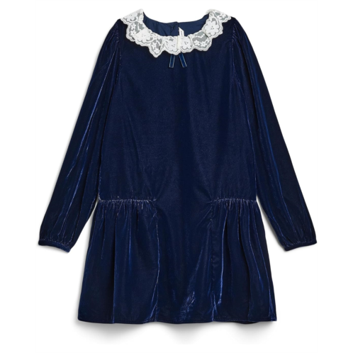 Girls Janie and Jack Velvet Dress (Toddler/Little Kid/Big Kid)