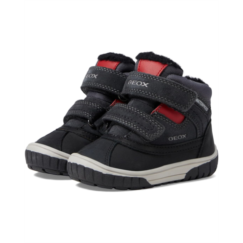 Geox Kids Omar WPF7 (Toddler)