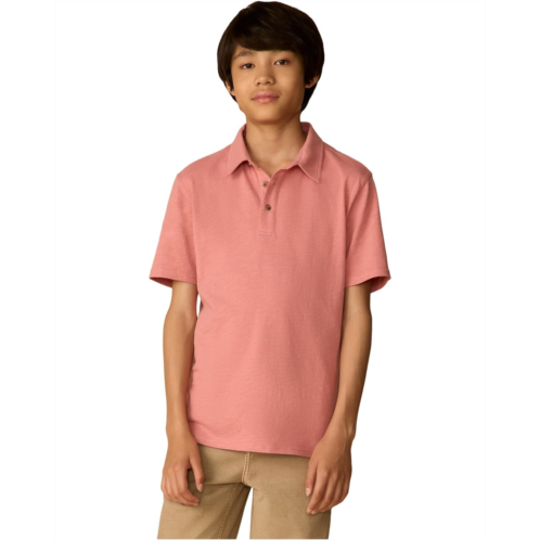 Boys Faherty kids Sunwashed T-shirt Polo (Big Kid)