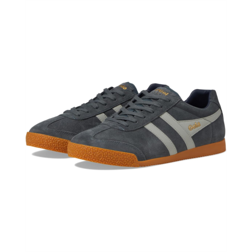 Gola Harrier