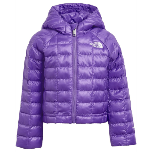 Kids The North Face Kids ThermoBall Hooded Jacket (Toddler)