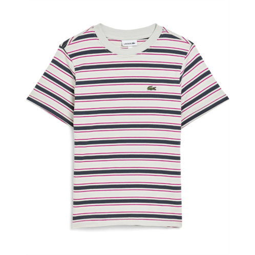 Boys Lacoste Kids Striped T-Shirt (Big Kid)