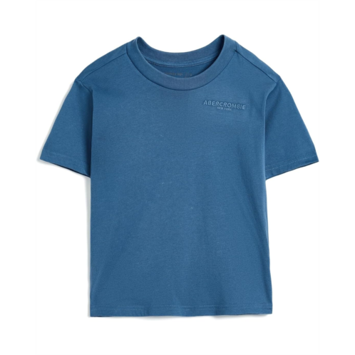 Boys abercrombie kids Sunfaded Knit Top (Big Kids)