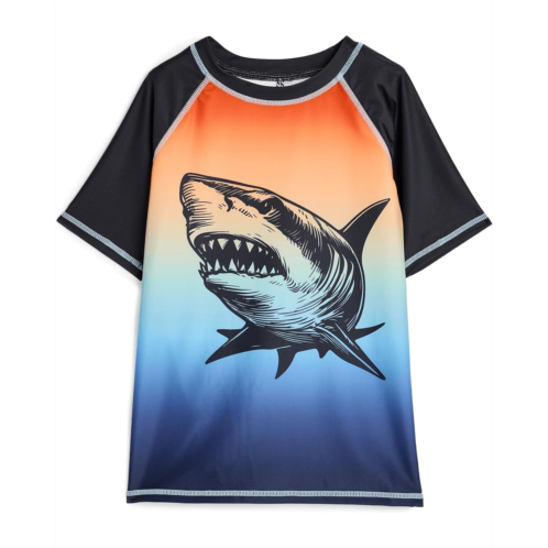 Boys Deux par Deux Gradient Rashguard (Little Kid)