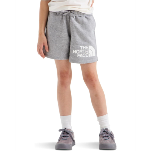 The North Face Kids Evolution Half Dome 5 Shorts (Little Kid/Big Kid)