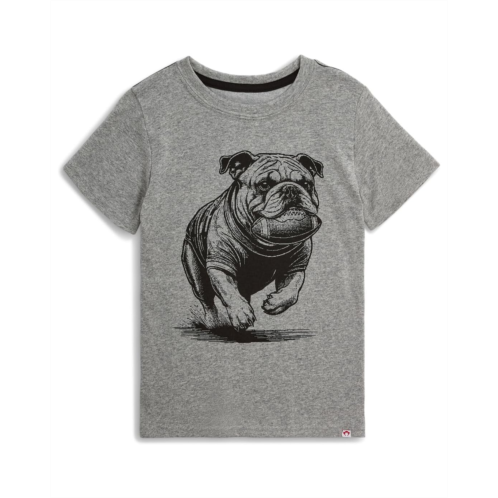 Appaman Kids Graphic Short Sleeve Tee (Toddler/Little Kid/Big Kid)