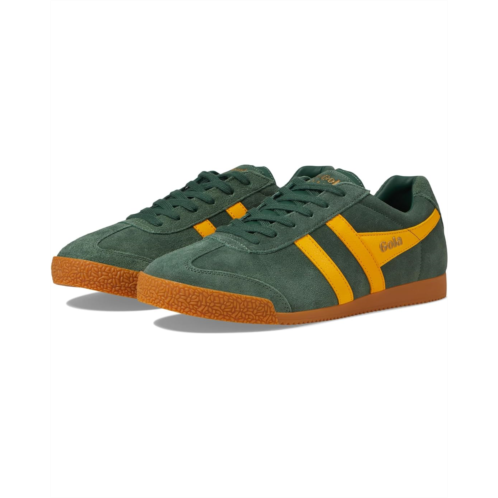Gola Harrier