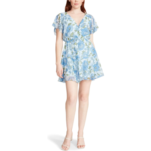 Steve Madden Kirsty Dress
