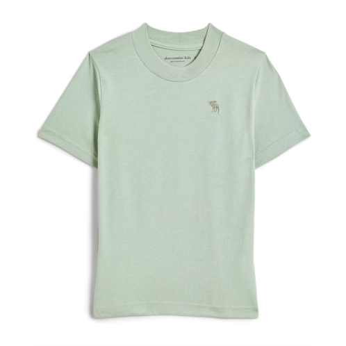 Boys abercrombie kids Short Sleeve Essential T-Shirt (Little Kid/Big Kid)