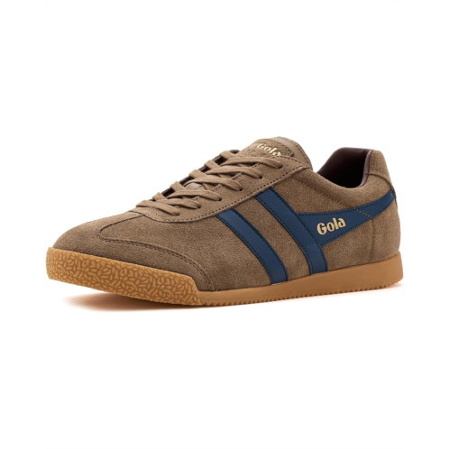 Gola Harrier