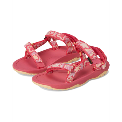 Teva Kids Hurricane XLT 2 (Toddler)