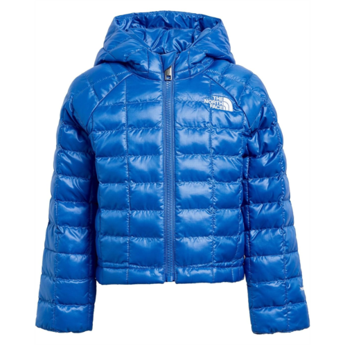 Boys The North Face Kids ThermoBall Hooded Jacket (Toddler)