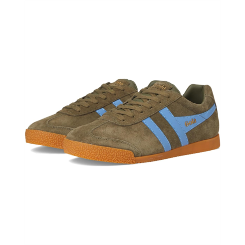 Gola Harrier