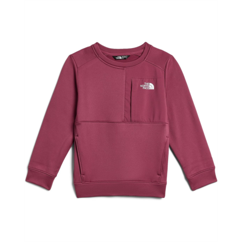 Kids The North Face Kids TNF Performance Fleece Crew (Little Kid/Big Kid)