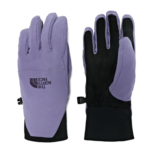 The North Face Shelbe Raschel Etip Gloves