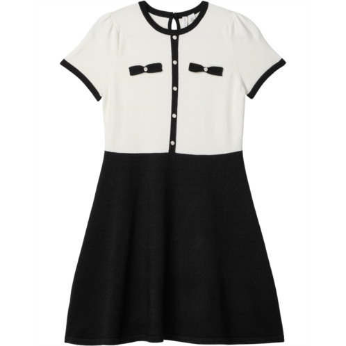 Janie and Jack Contrast Sweater Dress (Toddler/Little Kid/Big Kid) Janie and Jack Contrast Sweater Dress (Toddler/Little Kid/Big Kid)