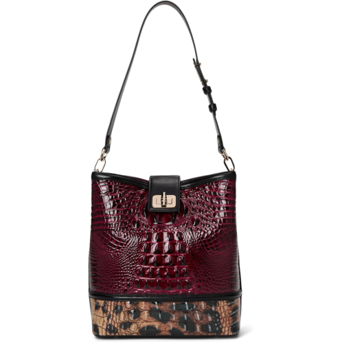Brahmin Celina