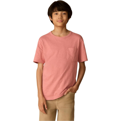 Boys Faherty kids Sunwashed Pocket Tee (Big Kid)