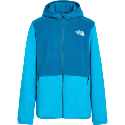 The North Face Kids Glacier Full Zip Hoodie (Little Kid/Big Kid)
