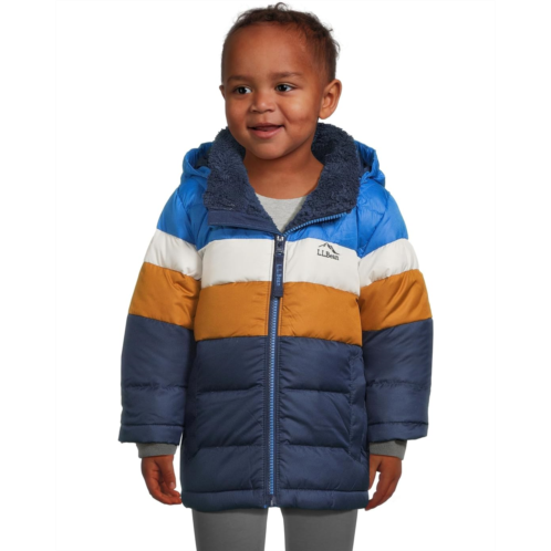L.L.Bean Kids LLBean Kids Down Jacket Color-Block (Little Kid)