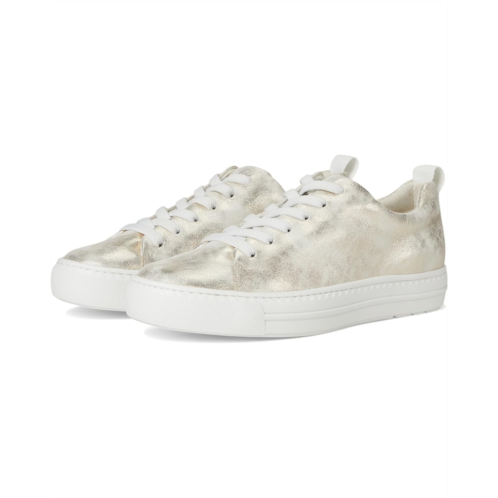 Paul Green Ajay Sport