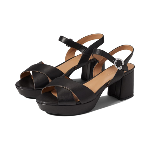 Aerosoles Cosmos