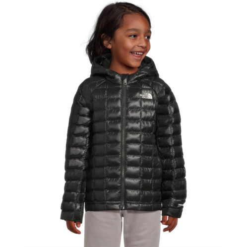 The North Face Kids ThermoBall Hooded Jacket (Toddler)