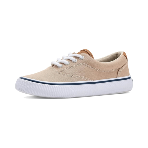 Boys Sperry Kids Cvo Striper II (Little Kid/Big Kid)