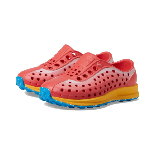 Native Shoes Kids Robbie Print (Toddler)