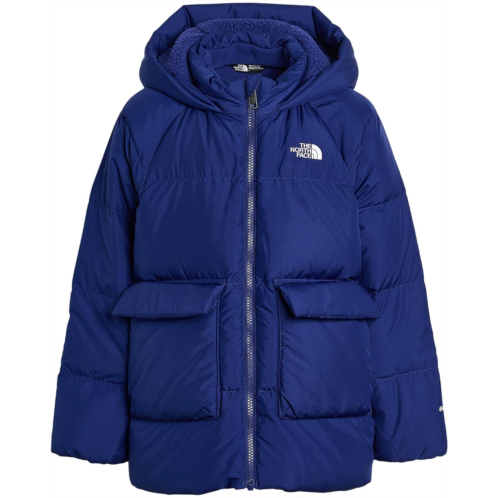 Kids The North Face Kids North Down Fleece-Lined Parka (Toddler)