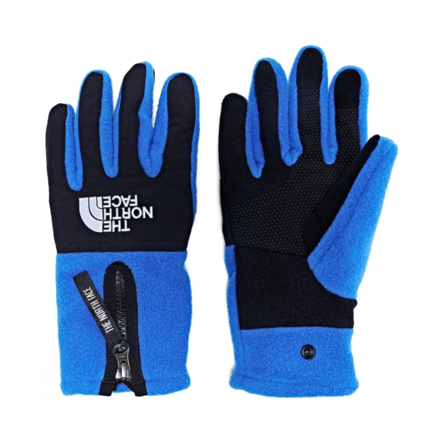 The North Face Denali Etip Gloves