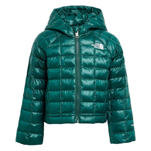 Kids The North Face Kids ThermoBall Hooded Jacket (Toddler)